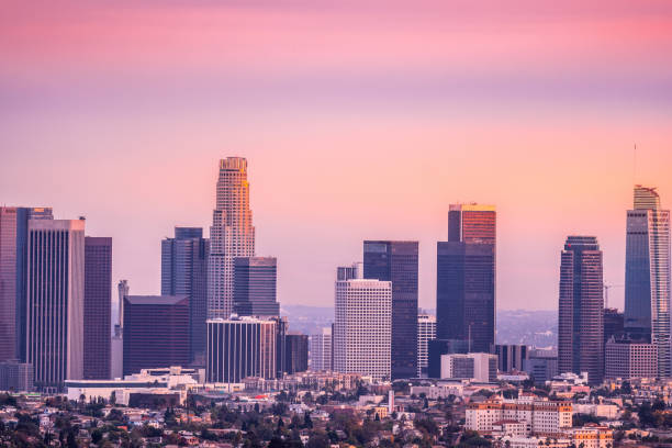 istock Los Angeles sunset with skyline and palm trees, wide angle 892471844
