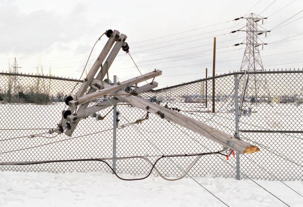 This image shows damage, from the famous 1998 ice storm in eastern Canada.