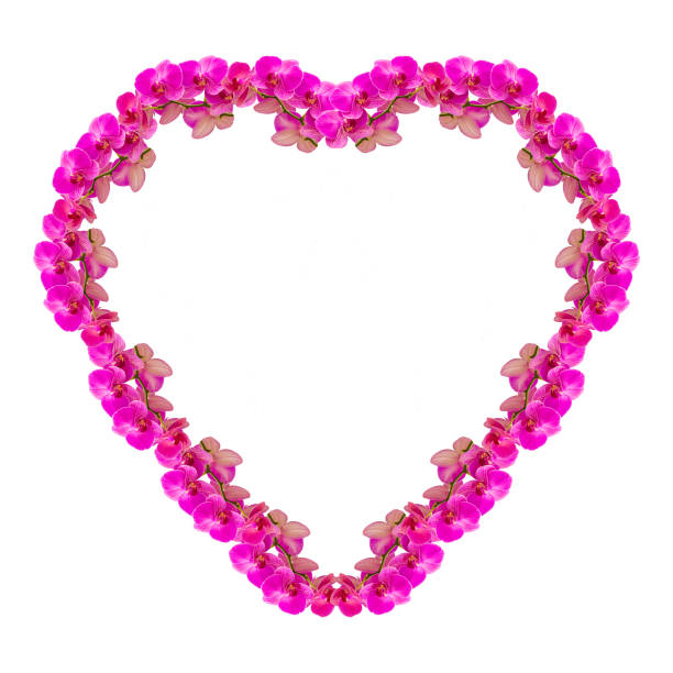 Red gift box in the shape of a heart with gorgeous orchids on a white background. Valentine's day concept.