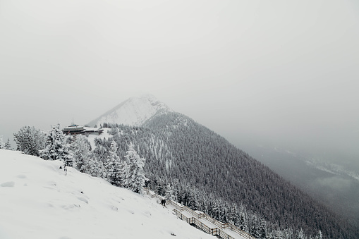 Snowy walk on Sulphur Mountain