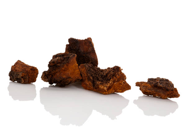 Medicinal chaga mushroom pieces Medicinal chaga mushroom pieces isolated on white background. Cepe stock pictures, royalty-free photos & images