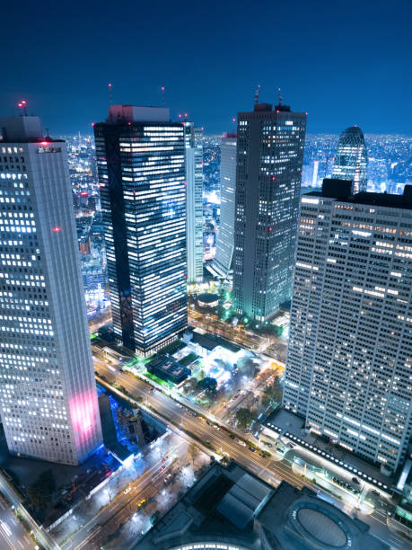 istock Night view of Shinjuku from a skyscraper 892519118