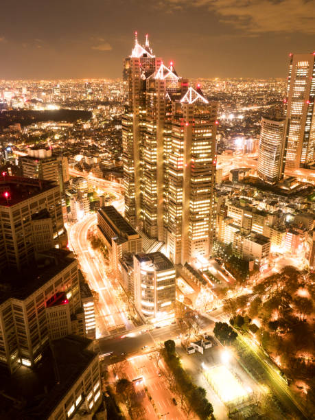 istock Night view of Shinjuku from a skyscraper 892519148