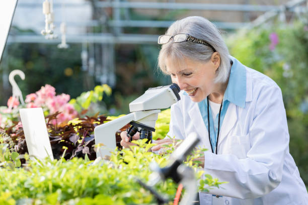 istock Cheerful female botanist working in a greenhouse 892541504