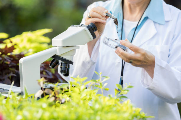 botanica femminile irriconoscibile con campione di suolo - biotechnology research agriculture science foto e immagini stock