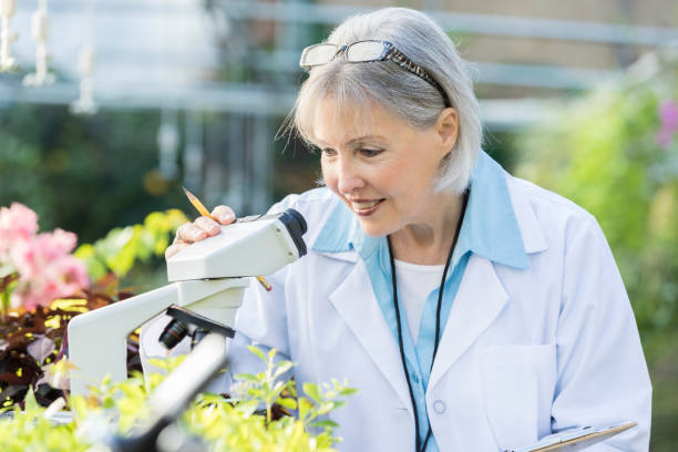 istock Focused female botanist examines specimen 892541510