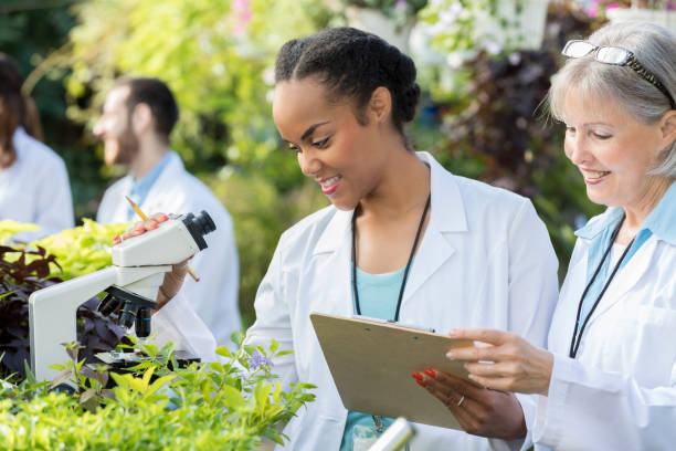 istock Diverse botanists working together in a greenhouse 892541560