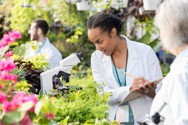 istock Confident African American botanist takes notes while examining plant samples 892541568