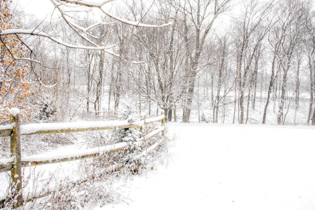 Winter scene-Howard County Indiana