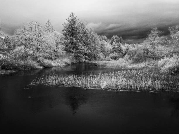 istock Infrared image of Youngs river 892544526