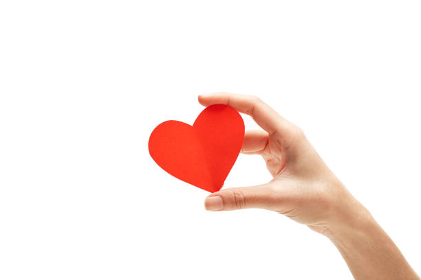 istock red paper heart in hand isolated on white 892555770
