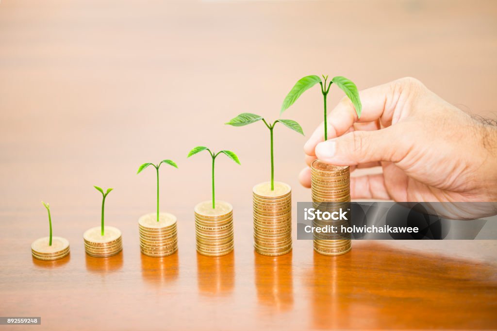 Man hand holding tree growing putting on money coin stack arranged as a graph on wooden table, concept of money growth Man hand holding tree growing putting on money coin stack arranged as a graph on wooden table, concept of money growth and saving money Finance Stock Photo
