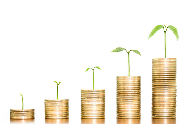 istock Tree growing on money coins arranged as a graph on wooden on white background, concept of business growth 892561466