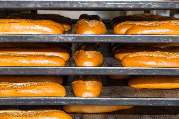 istock In the bread factory 892564572