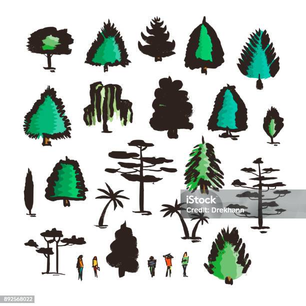 Tree Ink Styalised Set Of Hand Drawn Colorful Trees Ink Style Stock Illustration ...