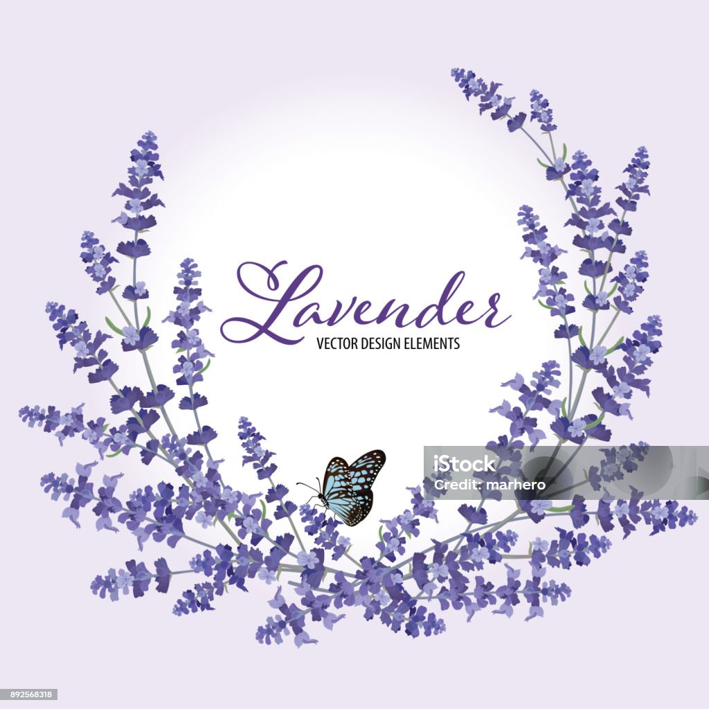 Floral frame with autumn lavender flowers with butterfly on violet background. Floral frame with autumn lavender flowers with butterfly on violet background. Vector set of blooming floral for wedding invitations and greeting card design. Lavender - Plant stock vector