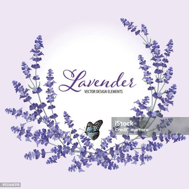 Floral Frame With Autumn Lavender Flowers With Butterfly On Violet Background Stock Illustration - Download Image Now