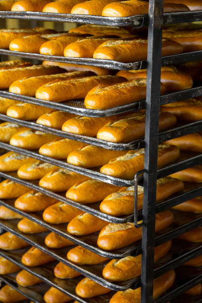 istock In the bread factory 892571262