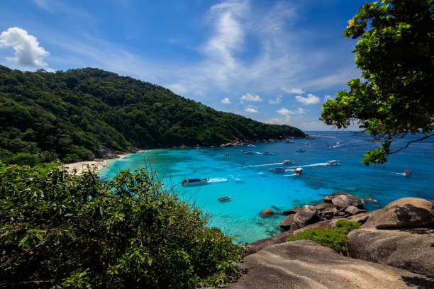 istock Beach and the sea from above on Similan islands. 892596138