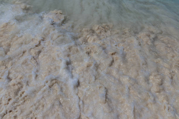 istock Sea surf on the beach with coral sand. 892598386