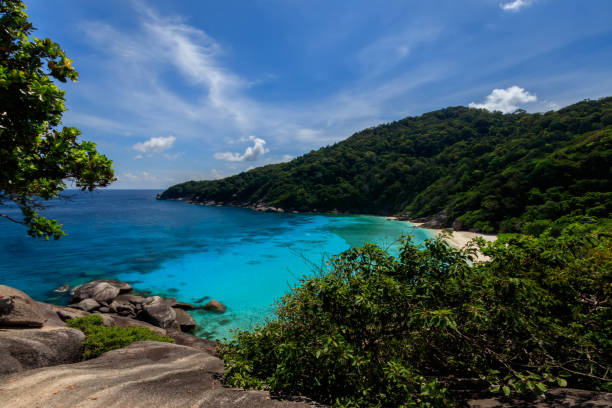 istock Beach and the sea from above on Similan islands. 892598990