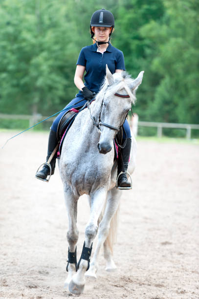 istock Young lady riding a horse at equestrian school. Training process 892604064