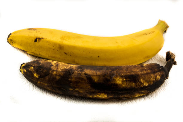 one yellow banana and one older brown banana on paper with white background - 3494 imagens e fotografias de stock