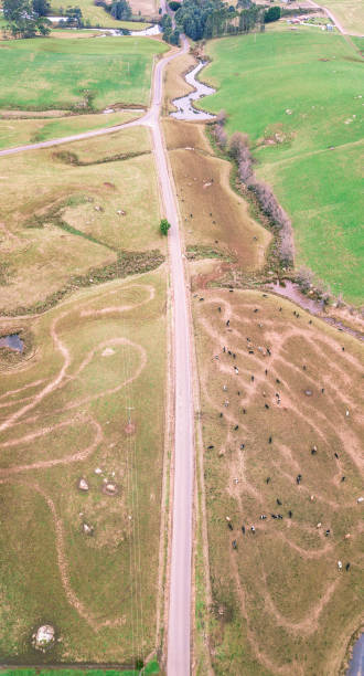 istock Farming field in Tasmania, Australia 892620124