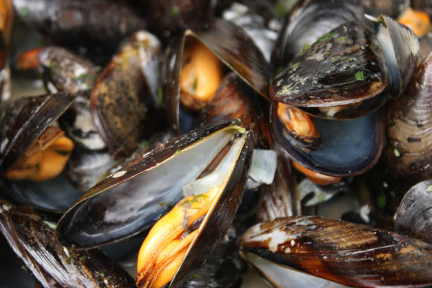 istock Seafood mussels cooked with white wine 892668204