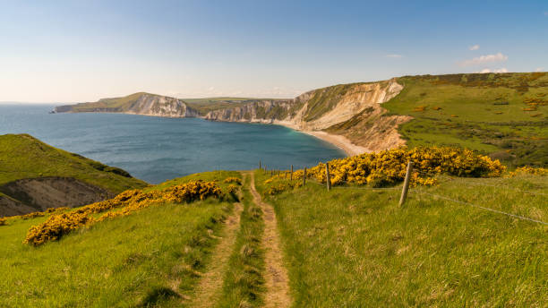 istock Worbarrow Bay, Jurassic Coast, Dorset, UK 892668338