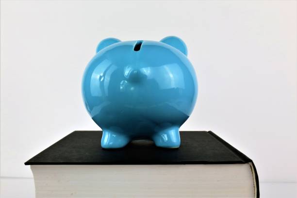 una imagen de concepto de un guarro con libros - savings piggy bank blackboard bank account fotografías e imágenes de stock