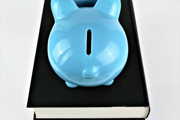 uma imagem do conceito de um porquinho com livros - savings piggy bank blackboard bank account - fotografias e filmes do acervo