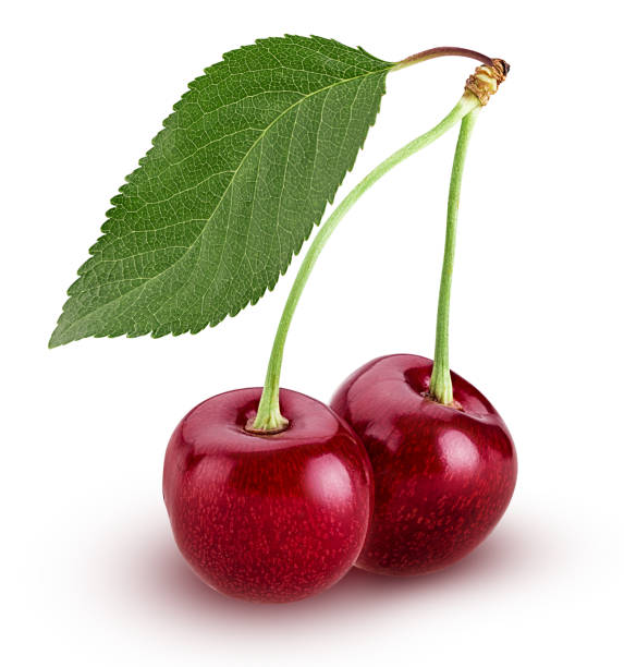 istock Sweet cherry berry, two on a branch with leaf 892679510
