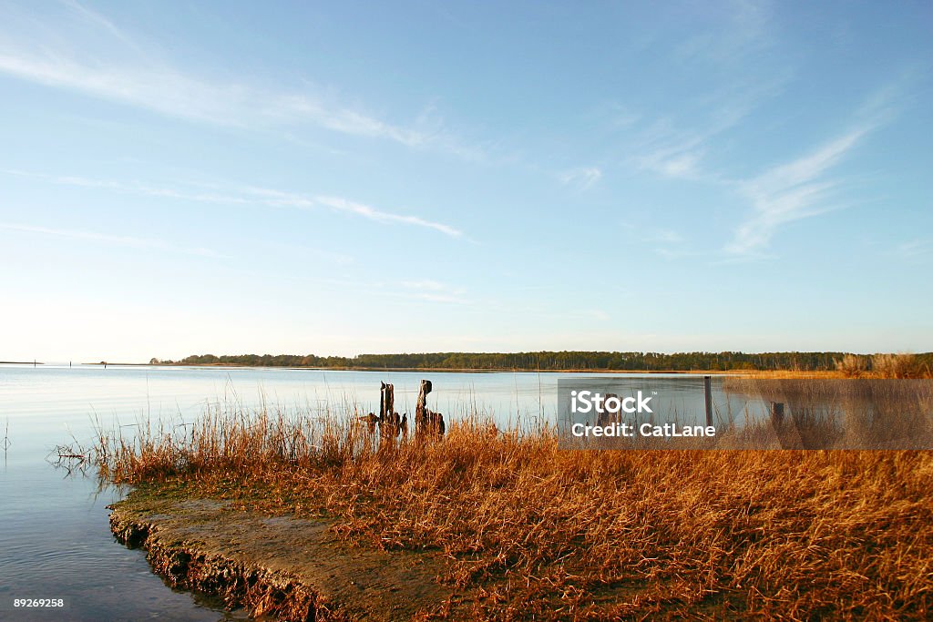 Creek in Virginia - Lizenzfrei Virginia - Bundesstaat der USA Stock-Foto