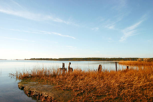 creek in virginia - virginia williamsburg virginia jamestown riverbank foto e immagini stock