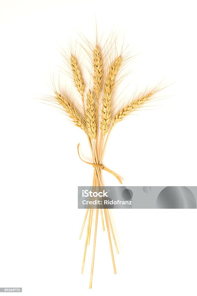 Isolato Mucchio di grano - Foto stock royalty-free di Agricoltura