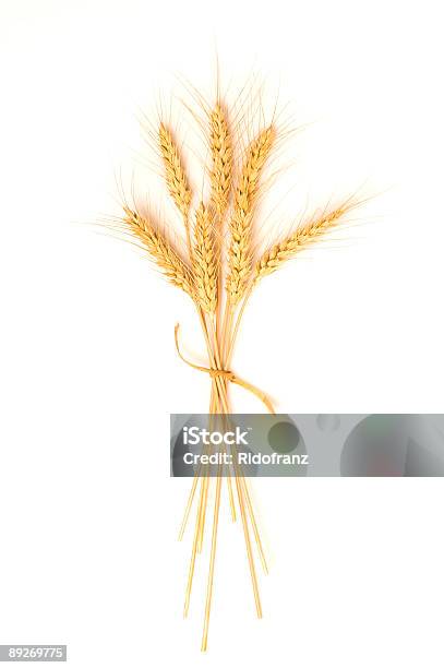 Isolato Mucchio Di Grano - Fotografie stock e altre immagini di Agricoltura - Agricoltura, Alimentazione sana, Cereale