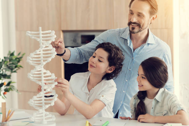 Handsome cheerful man helping his children Important project. Positive handsome cheerful man standing behind his children and looking at the DNA model while helping them with the project biosensor stock pictures, royalty-free photos & images