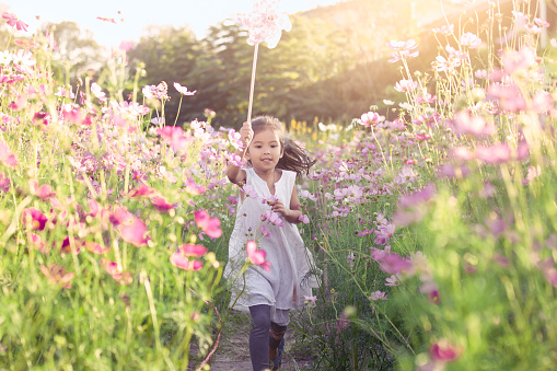 Cute asian little child girl playing with wind turbine and running in the cosmos flower  field in the summer time