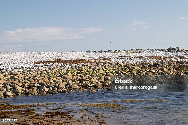 Побережье Inis М — стоковые фотографии и другие картинки Без людей - Без людей, Белый, Береговая линия