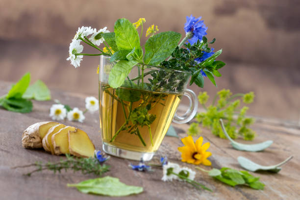 Various dried meadow herbs and herbal tea on old wooden table. fresh medicinal plants and in bundle. Preparing medicinal plants for phytotherapy and health promotion stock photo