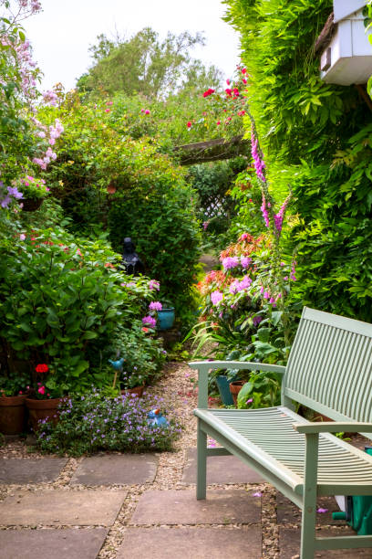 istock Colourful summer UK cottage garden border 892716976