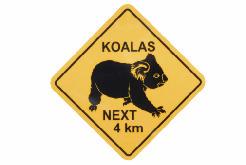 Classic Australian road sign warning of stray koalas (with clipping path).  Alternative file shown below: