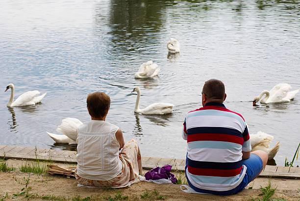 istock Woman, man and swans on river 89271958