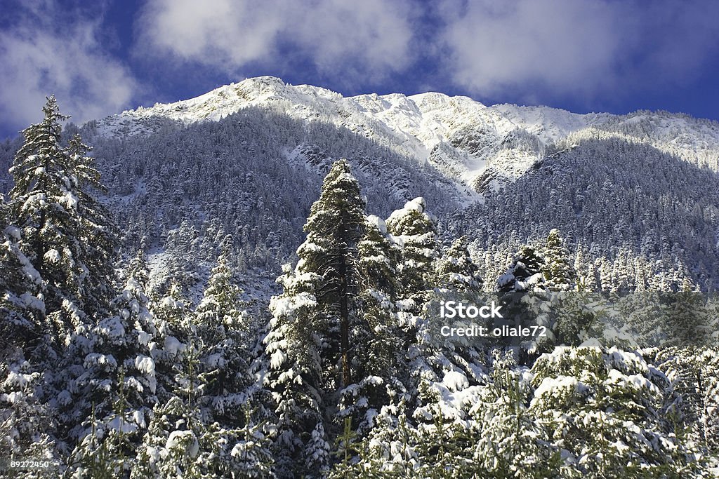 Inverno paesaggio di montagna e blu cielo nuvoloso - Foto stock royalty-free di Cornice nevosa