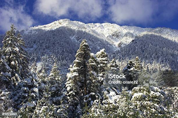 Inverno Paesaggio Di Montagna E Blu Cielo Nuvoloso - Fotografie stock e altre immagini di Cornice nevosa - Cornice nevosa, Alberato, Albero