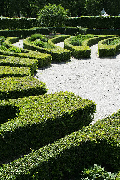 Classic park design stock photo