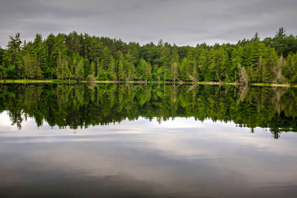 istock Wilderness Lake With Forest Reflection In Northern Michigan 892735068