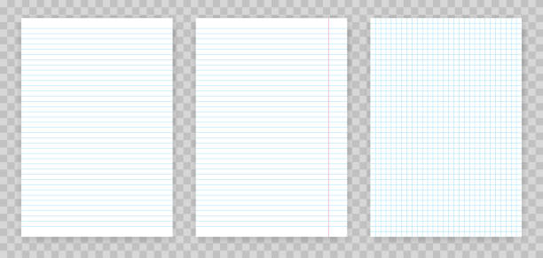 ノートブックのコピーブックの二乗と並んで用紙。透明な背景に分離線と正方形のメモ帳ページ セットのベクトル現実的な紙 - lined paper paper education textbook点のイラスト素材／クリップアート素材／マンガ素材／アイコン素材