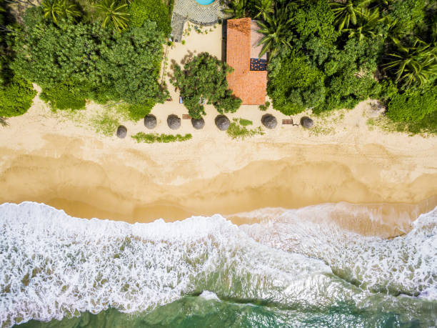 istock Aerial view of tropical beach 892748312